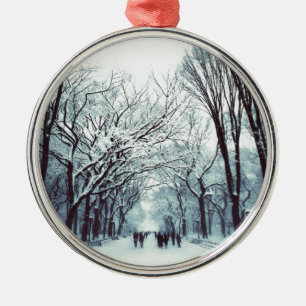 het centrum van het park in de winter metalen ornament