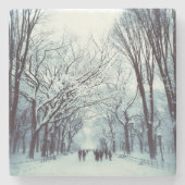 het centrum van het park in de winter stenen onderzetter (Voorkant)