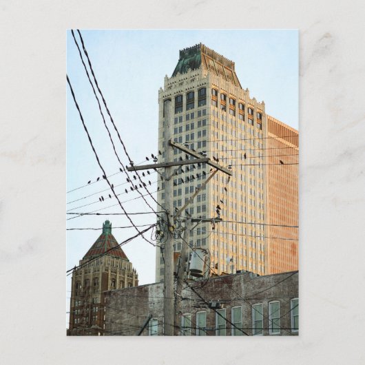 Het centrum van Tulsa met vogels Briefkaart (Voorkant)