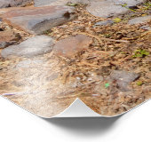 Het Chapalameer en de bergen Foto Afdruk (Hoek)