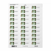 Het charmen van Duidelijke Boter Etiket (Full Sheet)