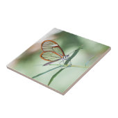 Het charmen van Duidelijke Boter Tegeltje (Zijkant)