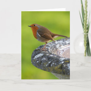 Het Chef- Wenskaart van de werf Kaart