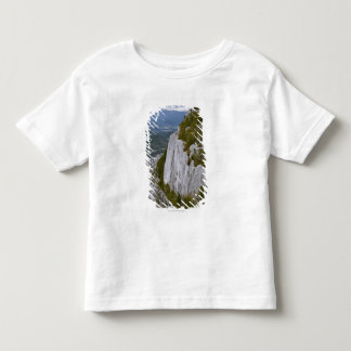 Het "Chief" Arial-Uitzicht in Squamish Kinder Shirts