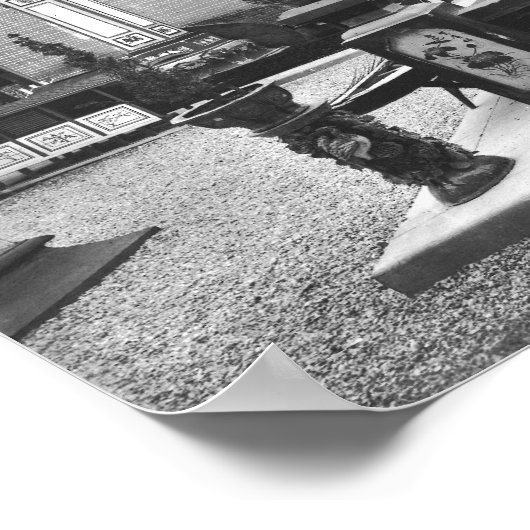 Het Chinese paviljoen Poster (Hoek)