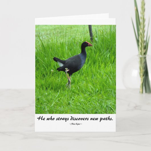 Het Citaat van de reis door Nils Kjær Kaart (Voorkant)