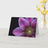 Het Close-up van de Clematissen van Fuscia Kaart (Gele Bloem)