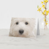 Het Close-up van Westie Kaart (Gele Bloem)