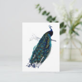 Het Collectie Peacock Briefkaart (Staand voorkant)