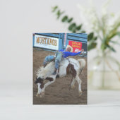 Het Collectie Rodeo - Wild Ride Briefkaart (Staand voorkant)