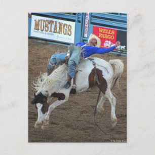 Het Collectie Rodeo - Wild Ride Briefkaart