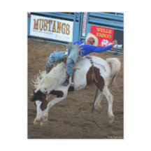 Het Collectie Rodeo - Wild Ride