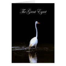 Het COLLECTIE van de Grote Egret - WETLANDS - Blan