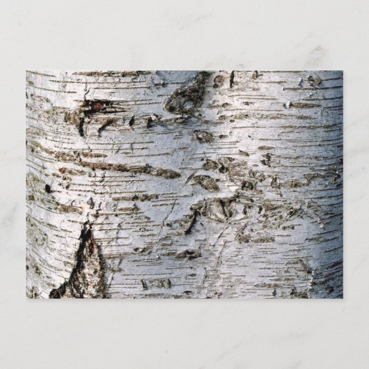 Het Collectie van de Rustic Silver Birch Tree Wedd Informatiekaartje (Achterkant)