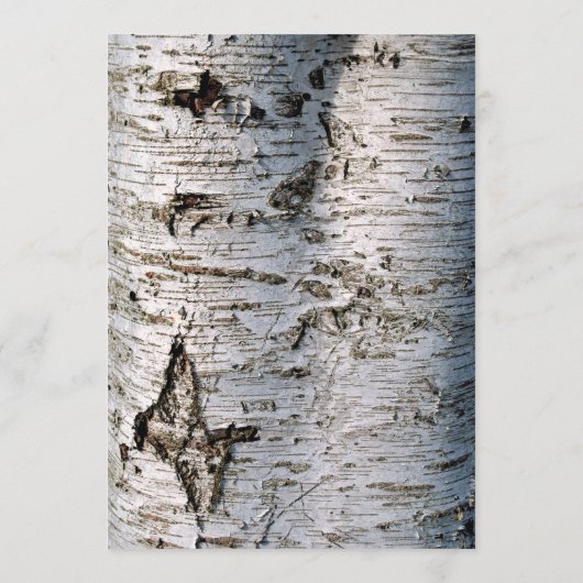 Het Collectie van de Rustic Silver Birch Tree Wedd Menu (Achterkant)