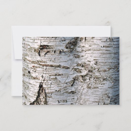 Het Collectie van de Rustic Silver Birch Tree Wedd RSVP Kaartje (Achterkant)