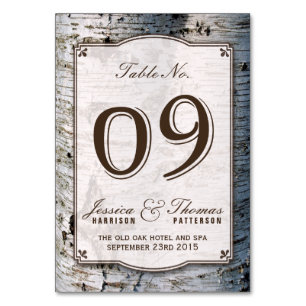 Het Collectie van de Rustic Silver Brondenbruiloft Kaart