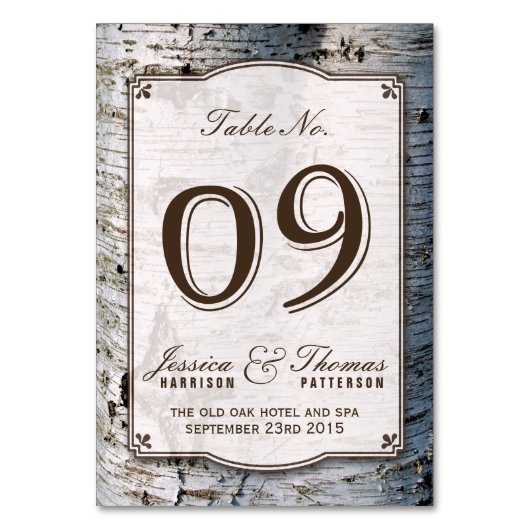 Het Collectie van de Rustic Silver Brondenbruiloft Kaart (Achterkant)