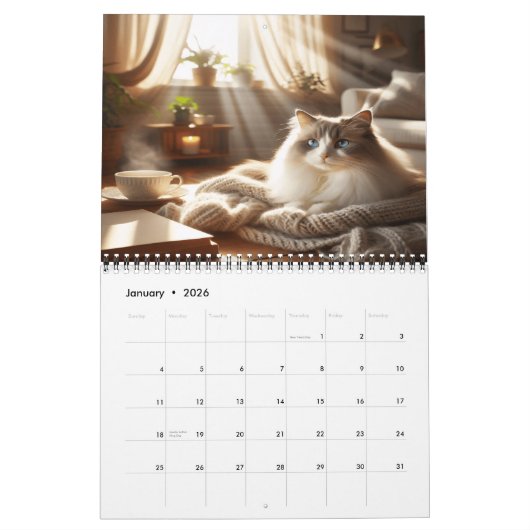 Het comfort van Ragdoll Cats 202X Kalender (Jan 2026)