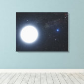 Het concept dat van de kunstenaar het binaire ster canvas afdruk (Insitu (Houten vloer))