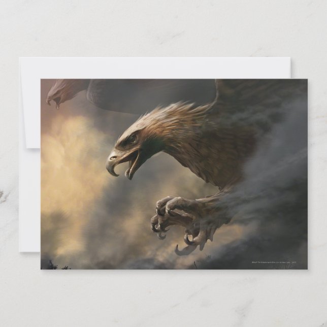 Het concept van de grote adelaars (Voorkant)