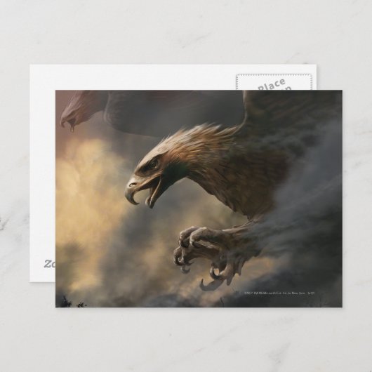 Het concept van de grote adelaars briefkaart (Voorkant / Achterkant)