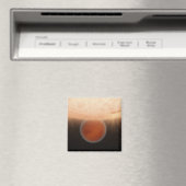 Het concept van een kunstenaar magneet (Insitu (Vaatwasser))