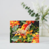 Het Congres van de Dame (Vanessa cardui) Briefkaart (Staand voorkant)