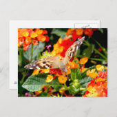 Het Congres van de Dame (Vanessa cardui) Briefkaart (Voorkant / Achterkant)