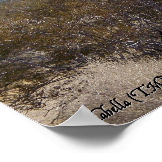 Het contrast poster (Hoek)