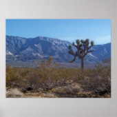 Het contrast poster (Voorkant)