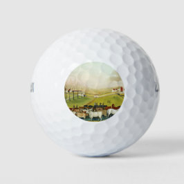 Het Cornell Boerderij (landschap Pennsylvania) Golfballen