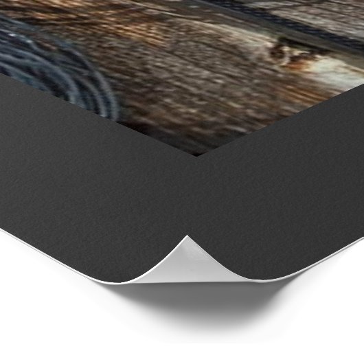 Het Cowboy-leven Poster (Hoek)