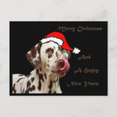 Het Dalmatische Briefkaart van Kerstmis (Voorkant)