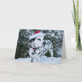 Het Dalmatische Wenskaart van de Kerstman Feestdagen Kaart