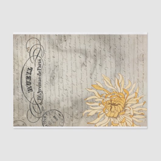 Het damestoestel tissuepapier (Voorkant)