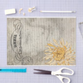 Het damestoestel tissuepapier (Craft)