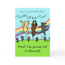 Het dansen Labradors bij de Brug van de Regenboog