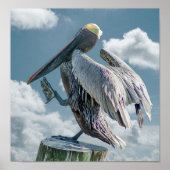 Het dansende Pelican-Poster Poster (Voorkant)