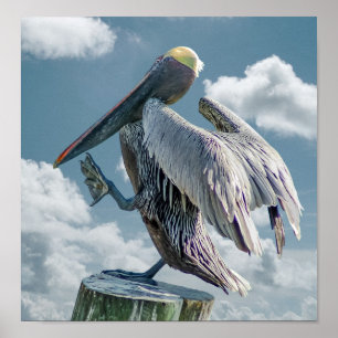 Het dansende Pelican-Poster Poster