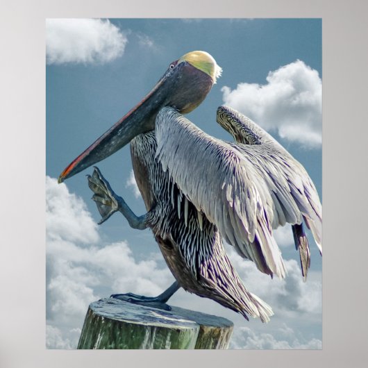 Het dansende Pelican-Poster Poster (Voorkant)