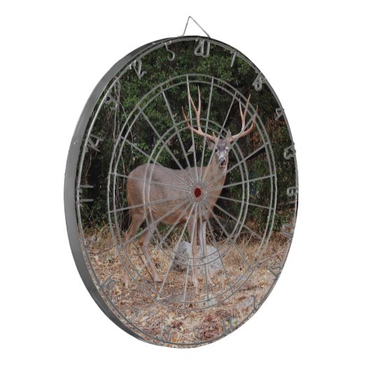 HET Dartboard van de Der Dartbord (Voorkant Links)