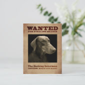 Het Dashing Doberman-Briefkaart Briefkaart (Staand voorkant)