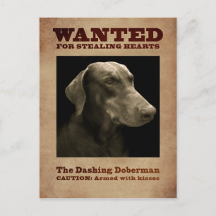 Het Dashing Doberman-Briefkaart Briefkaart