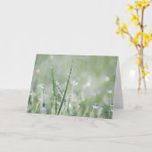 Het dauw-behandelde Lege Wenskaart van het Gras Kaart (Gele Bloem)