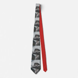 Het David Fun Stropdas