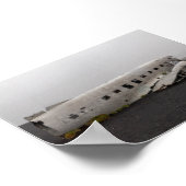 Het DC9-vliegtuigwrak Poster (Hoek)