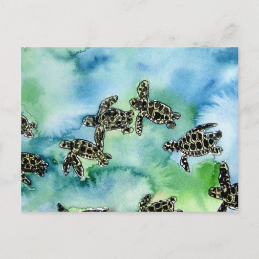 het de schildpadden het reptiel dierlijke wild van briefkaart (Voorkant)
