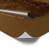 Het debat poster (Hoek)