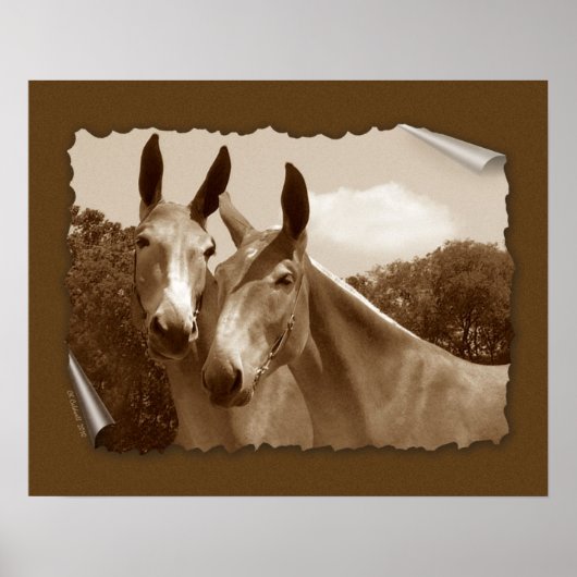 Het debat poster (Voorkant)